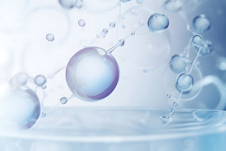 Amino Acids