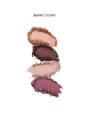 Berry Story